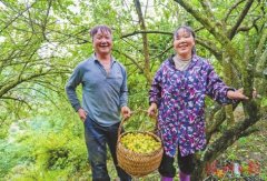 永泰：青山叠翠绘新卷财产勃发向将来