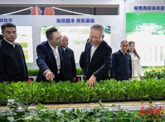 沈晓明参不雅全国粮油和大豆财产博览会、中部