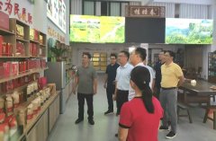 自治区农机核心调研组赴浦北县指点农机化推广